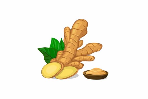 Download Ginger in Slice and Powder Symbol Vector - Premium Resources